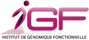 logo igf