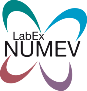 logo LabEx NUMEV 287x300